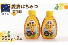 愛妻はちみつ ( 百花 ) 250g × 2個 セット はちみつ ハチミツ 国産 蜂蜜 群馬 おすすめ つまごいビーガーデン [AC004tu]