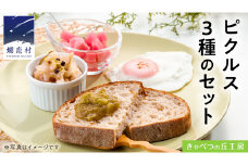 ピクルス 3種 の セット 惣菜 洋風惣菜 常備菜 野菜 サラダ セット ギフト 贈答用 熨斗 [AB080tu]