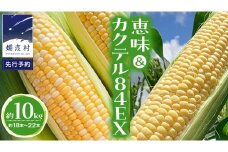 【 9月 中旬発送開始】【 数量限定 】 嬬恋産 とうもろこし 食べ比べ 恵味 ＆ カクテル84EX 約18本～22本 計約 10kg トウモロコシ 恵味  10キロ 大粒 野菜 群馬 産地直送 期間限定 お取り寄せ バイカラーコーン [AT009tu]