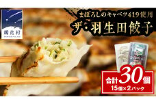 まぼろしのキャベツ419使用 ザ・羽生田餃子 15個 × 2パック 合計30個 ぎょうざ 豚肉 ギョウザ 小分け キャベツ 419 特産品 人気 冷凍 中華 中華惣菜 惣菜 大容量 [AL001tu]