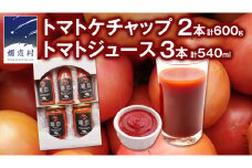 添加物不使用のトマトケチャップ 300g×2本 トマトジュース180ml×3本 詰合せセット 訳あり フードロス トマト トマトケチャップ ケチャップ トマトジュース ジュース 野菜 ギフト 詰合せ ギフトセット [AL013tu]