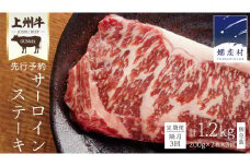 【2025年10月 発送開始】【定期便隔月 3回】上州牛 サーロイン ステーキ 200g × 2枚 （ 1枚 × 2パック ） 小分け サーロイン 定期便 隔月3回 パック 牛肉 日本 国産 群馬 冷凍 真空パック 小分け 少量 真空 ステーキ用 バーベキュー BBQ 鉄板焼き 贈答 ギフト 先行予約 [AH028tu]