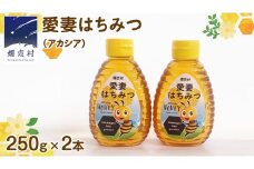 嬬恋村 愛妻はちみつ ( アカシア ) 250g × 2個セット はちみつ 国産 ハチミツ 蜂蜜 群馬 アカシア [AC012tu]