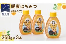 嬬恋村 愛妻はちみつ ( アカシア ) 250g × 3個セット はちみつ 国産 ハチミツ 蜂蜜 群馬 アカシア [AC010tu]