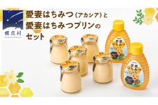 愛妻 はちみつ ( アカシア ) ・愛妻 はちみつ プリン 手作り 国産 蜂蜜 群馬 アカシア [AC014tu]