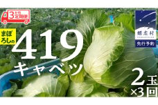 《 3か月 定期便 》まぼろしの419キャベツ 2玉 3カ月 きゃべつ 嬬恋村産キャベツ 羽生田売店 幻のキャベツ419 産地直送 期間限定 人気 朝採り 通販 お取り寄せ 関東 群馬 出荷時期限定 [AL015tu] 