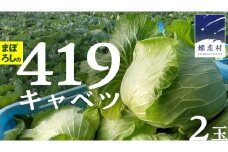 まぼろしの419キャベツ 2玉 きゃべつ 嬬恋村産キャベツ 羽生田売店 幻のキャベツ419 産地直送 期間限定 人気 朝採り 通販 お取り寄せ 関東 群馬 出荷時期限定 [AL014tu] 