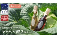 【 お中元 熨斗付】 キャベツ酢2本セット 熨斗対応 御中元 酢 調味料 ダイエット 酢キャベツ おすすめ ダイエット [AF024tu]