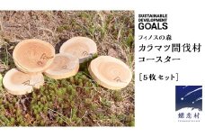 【 SDGs 】フィノスの森 カラマツ間伐材 コースター 5枚セット コースター SDGs 木製 インテリア 花瓶 キャンドル 手作り 雑貨 癒し 小物 [BI004tu]