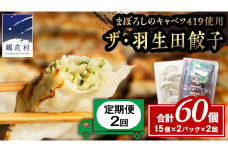 【 定期便 隔月2回 】 まぼろしのキャベツ419使用 ザ・羽生田餃子 15個 × 2パック 計30個 × 2回 ( 合計 60個 )  ぎょうざ 豚肉 ギョウザ 小分け キャベツ 419 特産品 人気 冷凍 中華 中華惣菜 惣菜 大容量 2回 [AL017tu] 