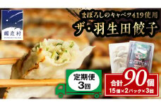 【 定期便 3ヶ月 】 まぼろしのキャベツ419使用 ザ・羽生田餃子 15個 × 2パック 計 30個 × 3回 ( 合計 90個 )  ぎょうざ 豚肉 ギョウザ 小分け キャベツ 419 特産品 人気 冷凍 中華 中華惣菜 惣菜 大容量 3回 [AL016tu] 