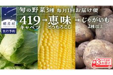 《3か月定期便》旬の野菜3種 419キャベツ 恵味トウモロコシ じゃがいも きゃべつ 嬬恋村産キャベツ 羽生田売店 幻のキャベツ419 産地直送 期間限定 人気 朝採り 通販 お取り寄せ 関東 群馬 出荷時期限定 [AL018tu]