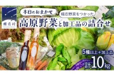 本日のおまかせ 高原野菜 5種以上 の 詰合せ と 加工品 1つ のセット 計10kg おまかせ 野菜 野菜セット 旬の野菜 産地直送 嬬恋キャベツ 加工品 酢 佃煮 漬物 惣菜 [AF028tu]