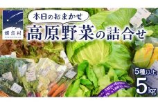 本日のおまかせ 高原野菜 の 詰合せ 5kg 5種以上 おまかせ 野菜 野菜セット 旬 5kg 産地直送 嬬恋 旬の野菜 [AF027tu]
