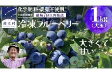 【 最短 7日以内 発送 】 冷凍 ブルーベリー 大玉 1kg 【 栽培期間中 化学肥料 農薬 不使用 】 数量限定 大粒 国産 フルーツ スムージー 果物 くだもの 農家直送 スイーツ アイス ノーザンハイブッシュ系 ミックス  [AT011tu]