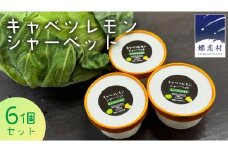 キャベツ レモンシ ャーベット 6個 セット アイスクリーム アイス スイーツ  ご当地アイス あっさり 爽やか デザート 嬬恋キャベツ [AH039tu]