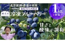 【 最短 7日以内 発送 】 冷凍 ブルーベリー 中玉 1kg   【 化学肥料 農薬 不使用 】 数量限定 中粒 国産 フルーツ スムージー 果物 くだもの 農家直送 スイーツ アイス ノーザンハイブッシュ系 ミックス [AT013tu]
