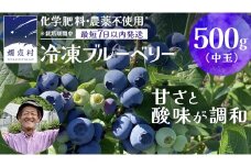【 最短 7日以内 発送 】 冷凍 ブルーベリー 中玉 500g  【 栽培期間中 化学肥料 農薬 不使用 】 数量限定 中粒 国産 フルーツ スムージー 果物 くだもの 農家直送 スイーツ アイス ノーザンハイブッシュ系 ミックス [AT012tu]