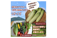 村長おすすめ！！旬の農産物セット（Lサイズ）