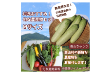 村長おすすめ！！旬の農産物セット（Mサイズ）