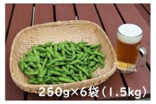 採れたて新鮮！！高山村の名産枝豆　１．５ｋｇ　