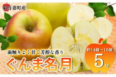 [№5819-0250]東吾妻町産 りんご ぐんま名月　5kg