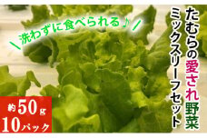 [№5819-0257]洗わずに食べられる！たむらの愛され野菜　ミックスリーフセット　10個
