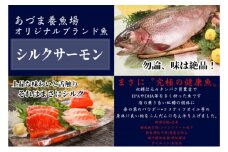 [№5819-0263]シルクサーモン漬けセット(GUNMA)