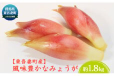 [№5819-0270]【東吾妻町産】風味豊かな みょうが 約1.8kg