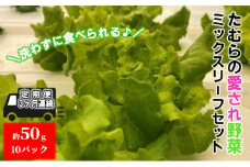 [№5819-0299]【定期便 3ヶ月連続】洗わずに食べられる！たむらの愛され野菜 ミックスリーフセット　10個
