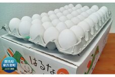 [№5819-0285]【定期便 6ヶ月】特選 はるなのたまご Mサイズ 5kg×6回