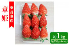 [№5819-0319]【東吾妻町産】いちご 章姫（あきひめ）約250g×4パック