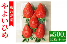 [№5819-0320]【東吾妻町産】いちご やよいひめ　約250g×2パック