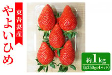 [№5819-0321]【東吾妻町産】いちご やよいひめ　約250g×4パック