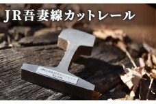 [№5819-0327]JR吾妻線カットレール
