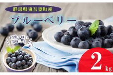 [№5819-0329]東吾妻産 ブルーベリー 生果 2kg 2024年7月上旬～発送予定