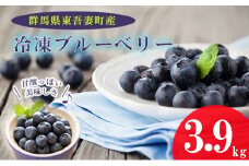 [№5819-0333]【東吾妻産】冷凍ブルーベリー 約3.9kg