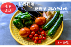 [№5819-0339]有機栽培 夏野菜 8～10品 詰め合わせ 群馬県産 東吾妻 有機JAS 認証取得