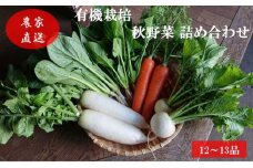 [№5819-0342]有機栽培 秋野菜 詰め合わせ 群馬県産 東吾妻 有機JAS 認証取得 秋 野菜 やさい 詰合せ 旬