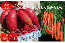 [№5819-0343]有機栽培 秋野菜 さつまいも 3kg(10本程度)＋にんじん3kg (12～15本) 計6kg 詰め合わせ 群馬県産 東吾妻有 機JAS 認証取得 サツマイモ 人参 詰合せ