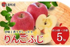 [№5819-0350]東吾妻町産 りんご ふじ 5kg(14個から16個） リンゴ アップル 果物類 フルーツ 果物