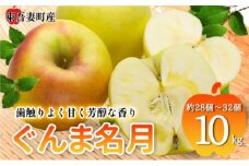 [№5819-0352]東吾妻町産 りんご ぐんま名月 10kg(28個から32個） リンゴ アップル 果物類 フルーツ 果物