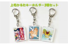 [№5819-0367]上毛かるたキーホルダー3種セット かるた オリジナル　