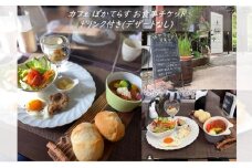 [№5819-0369]カフェ ぽかてらす お食事チケットドリンク付き (デザートなし) カレー ハンバーグ 手作り