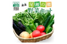【７月下旬より配送予定】 野菜セット  片品村 尾瀬 新鮮