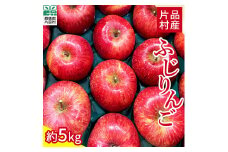 ☆数量限定☆　尾瀬の郷 片品村産　ふじりんご