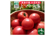 【8月上旬より順次配送】片品村産トマト　1箱