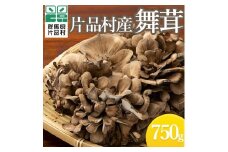 片品村産舞茸