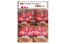 尾瀬トマトのガーリックカレー