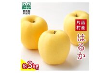 はるか りんご 約3kg